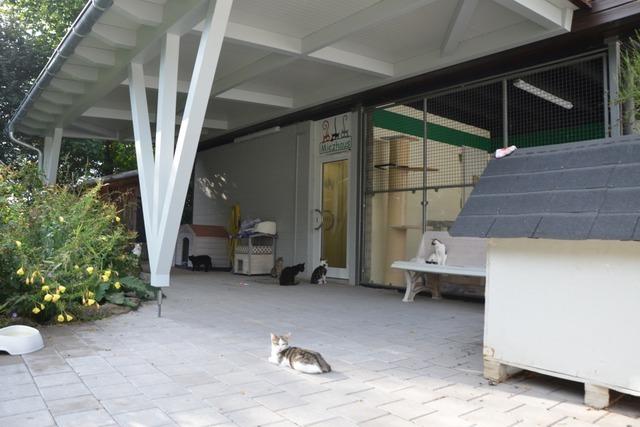 Tierheim Lahr rutscht tief in die roten Zahlen