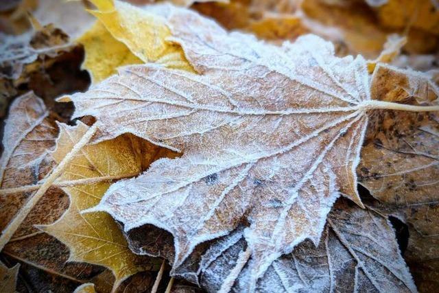 Winterwunderland: Schicken Sie uns Ihre schnsten Winterfotos