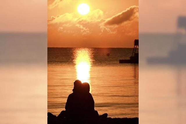 Baulrm statt Pool-Idylle