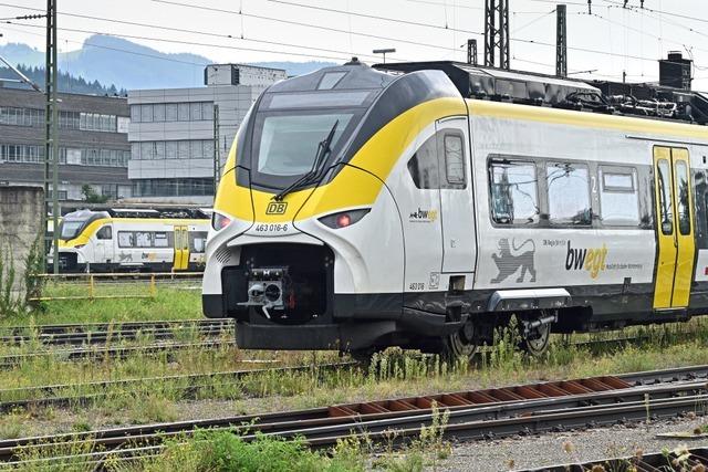 Oberleitungsschaden: Breisgau-S-Bahn fllt zwischen Freiburg- Hauptbahnhof und Littenweiler aus