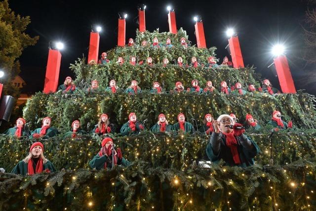 Programm fr Singenden Weihnachtsbaum in Waldkirch steht fest