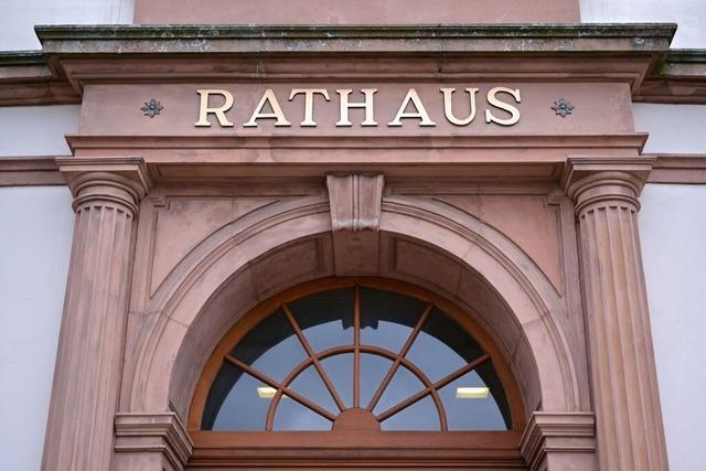 Verein "Mehr Demokratie" fordert: Abwahl von Brgermeistern ermglichen