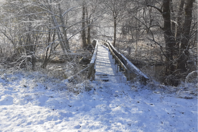 Der Winter kommt: Schicken Sie uns Ihre schnsten Schneefotos!