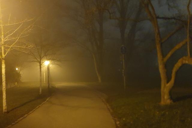 Bollschweiler Gemeinderat fhlt sich bei Entscheidung ber Nachtbus im Hexental bergangen