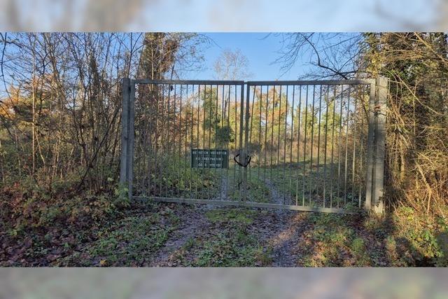 Bundeswehr knnte altes Munitionslager im Rheinwald bei Neuenburg-Griheim reaktivieren