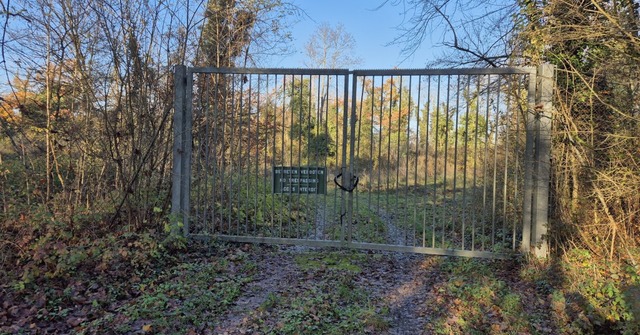 Im Rheinwald bei Griheim hatte einst ... Gelnde in groen Teilen zugewuchert.  | Foto: Hannes Selz