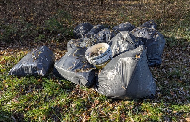 Dieser Mll wurde am Dienstag am Westu...iederschopfheimer Baggersees entdeckt.  | Foto: Polizeiprsidium Offenburg