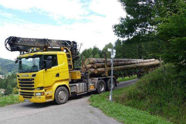 Langholz-Lkw bleibt auf B31 liegen