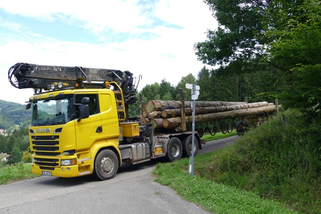 Ein Langholz-Lkw ist auf der B31 liege... musste umgeladen werden. (Symbolfoto)  | Foto: Sylvia Sredniawa