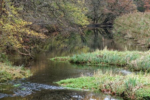 Nikolaus Geiler: "Liebgewonnene Vorurteile gegen kologischen Flutungen auf den Prfstand stellen"