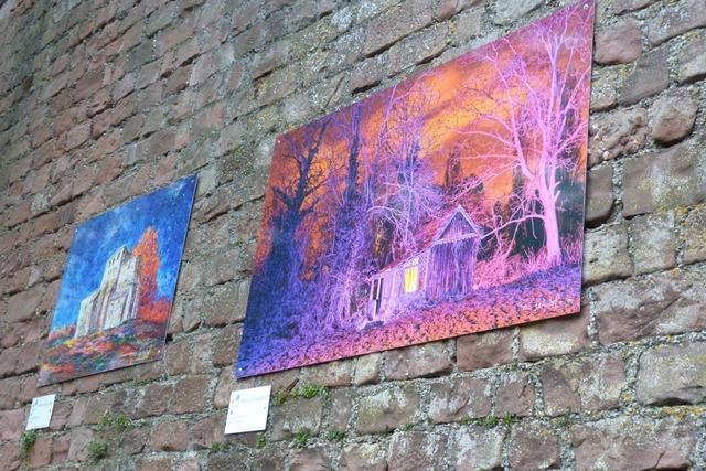 In Ihringen startet ein Kunstprojekt mit Straenkunst an Gebuden