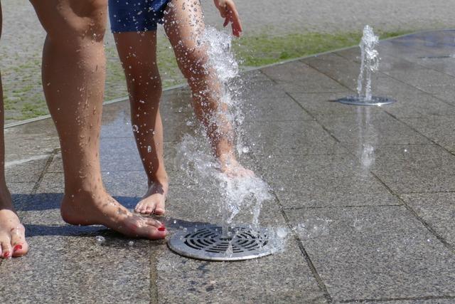 Wasserspiel & Co. sorgen im Lahrer Gemeinderat auch fr Kritik