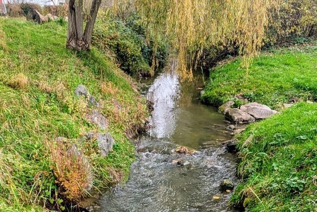 Vor mehr als 600 Jahren haben die Ettenheimer den Altdorfern sozusagen das Wasser abgegraben