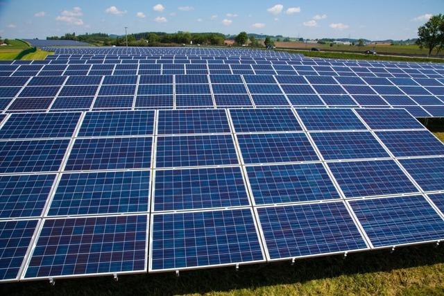 Grwihl plant Agri-PV-Anlage in Engelschwand trotz offener Fragen
