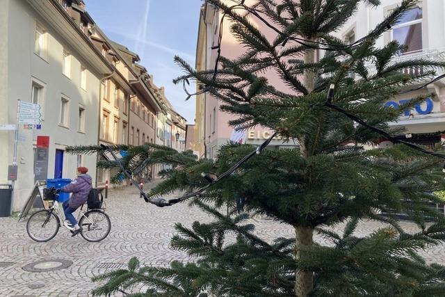 Tannen, Lichterketten, Kugeln: Bad Sckingen macht sich hbsch