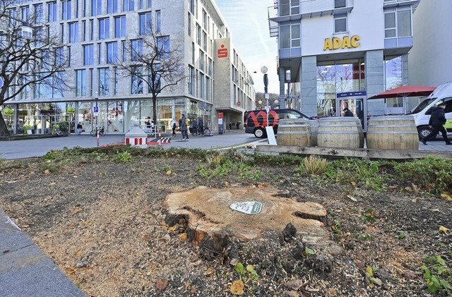   | Foto: Michael Bamberger