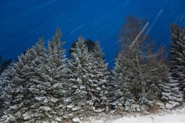Der Winter ist da: Schnee und eisige Nchte im Sdwesten