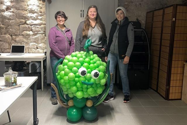 So gut kam das Lahrer Stadtspiel "Mossi Go 2.0" an