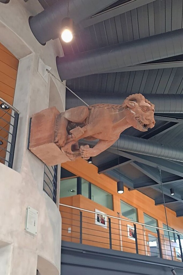 ber 300 Jahre alt: der originale Wasserspeier des Freiburger Mnsters  | Foto: Thomas Schllhorn