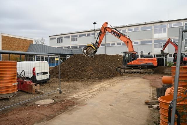 Stadt Breisach will im kommenden Jahr auf Steuererhhungen verzichten