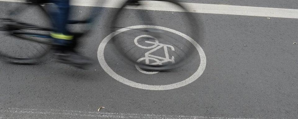 Verkehrsgefhrdung durch Vollbremsung in der Breisacher Strae