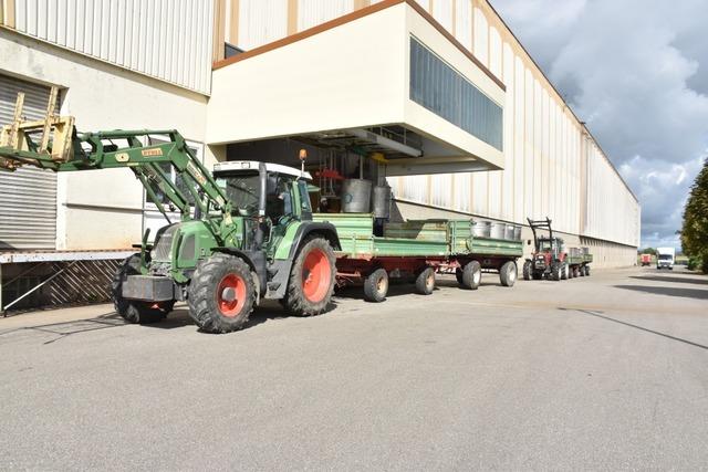 Neue Mitglieder aus dem Kraichgau fr den Badischen Winzerkeller