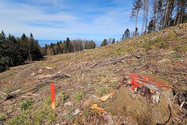 Windkraft-Erdaushub auf dem Parkplatz Kreuzboden – Gemeinderat sieht sich bergangen