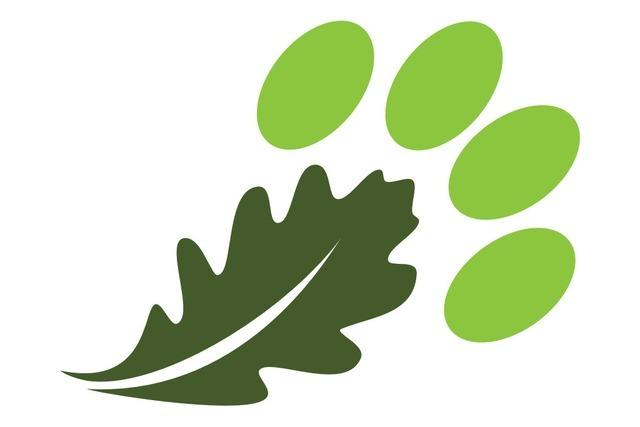 Entspanntes Rumhpfen