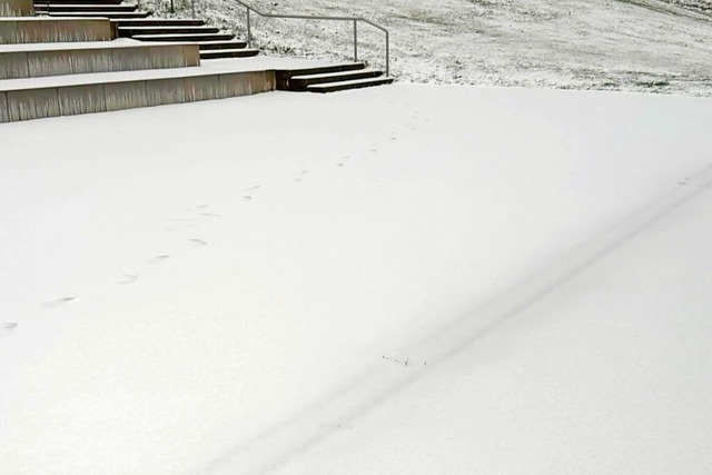 Diese geschlossene Schneedecke lag am ...n des Einbollenstadions in Denzlingen. | Foto: privat Diese geschlossene Schneedecke lag am ...n des Einbollenstadions in Denzlingen. | Foto: privat