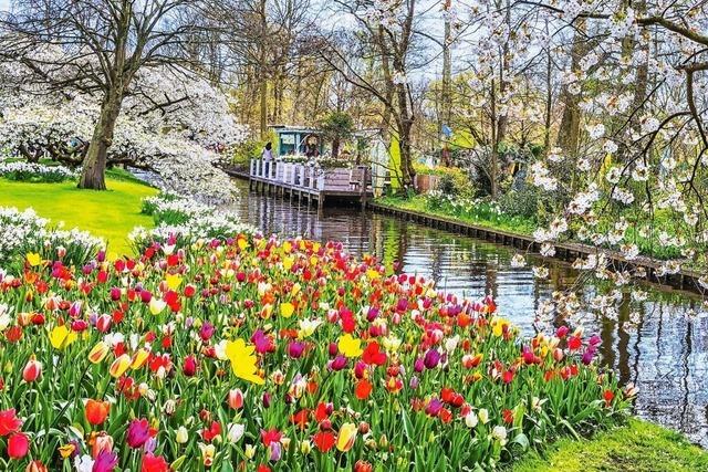 Holland-Flandern Flusskreuzfahrt