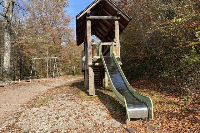 Babyleiche in Maulburg: "Erfolgversprechender Hinweis" war nach "Aktenzeichen XY" nicht dabei