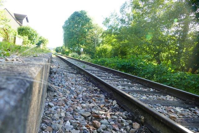 SPD steht weiter zur Kandertal-S-Bahn