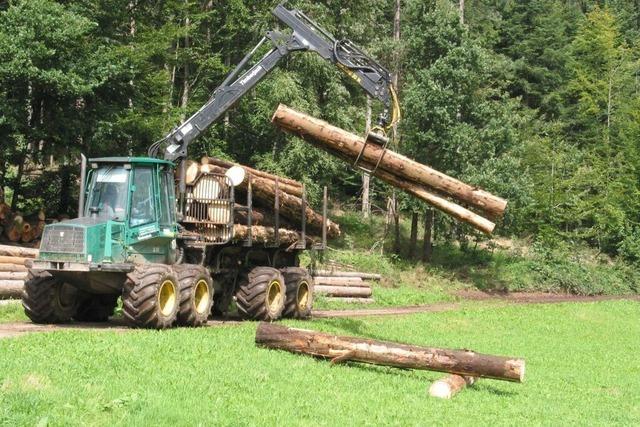 Forstexperten in Elzach setzen auf Mischwlder gegen Klimarisiken und fr Wirtschaftlichkeit