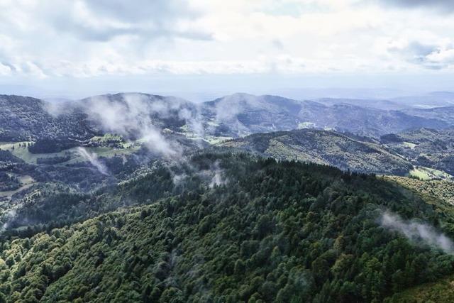 Infos zur Windkraft: Malsburg-Marzells Brgermeister ist verrgert ber "feige" Absage