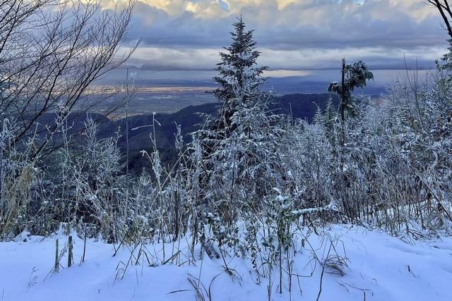 Der erste Schnee dieses Winters