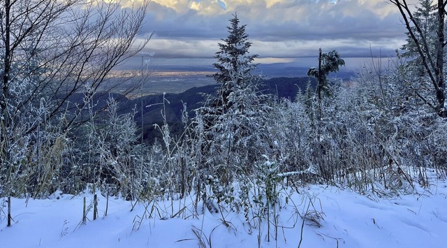   | Foto: Michael Bechtold