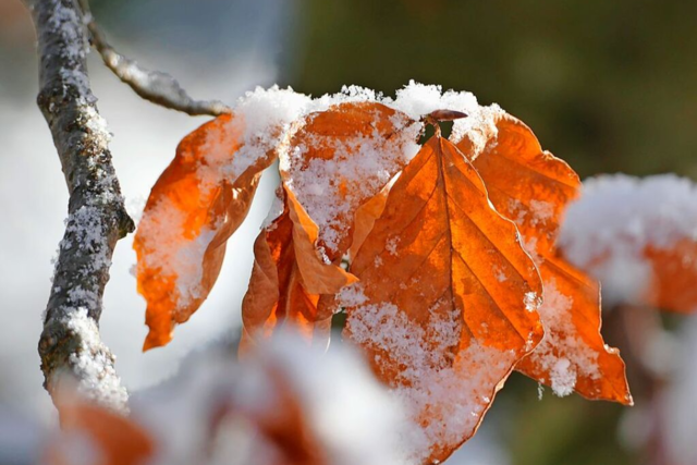 Das sind die schnsten Schneefotos unserer Leser