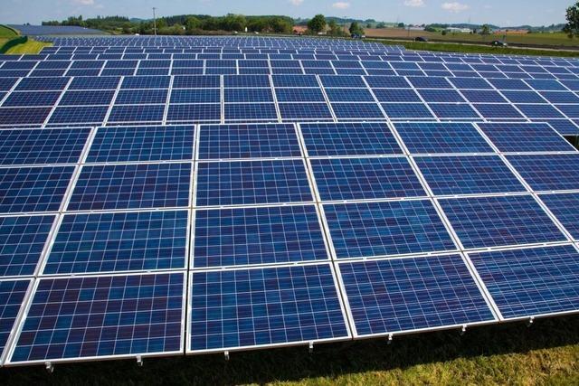 Landwirte im Kreis Lrrach kritisieren die zunehmende Brokratie