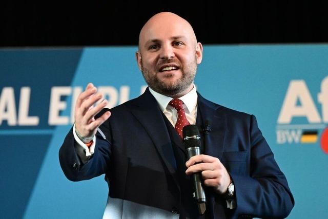 Der Streit in der Bundesregierung strkt die AfD in Baden-Wrttemberg