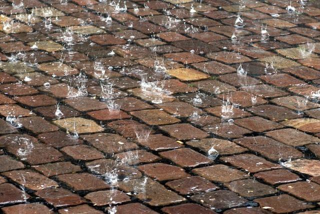 Expertenvortrag in Neuenburg spricht von Klimaschutz als Herausforderung und Chance zugleich