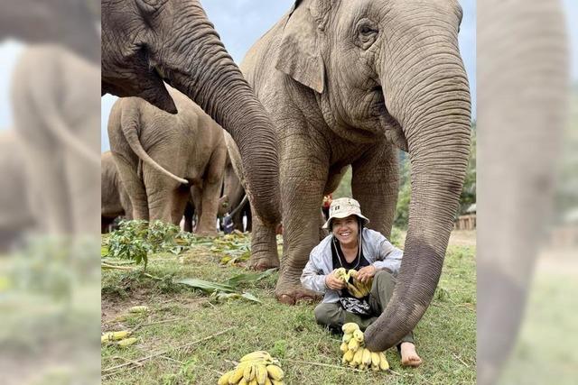 Die Elefantenflsterin von Chiang Mai