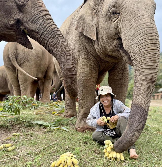 Hilfe für gequälte Dickhäuter: Thailan... ihren Tieren im Elephant Nature Camp. | Foto: Carola Frentzen/dpa Hilfe für gequälte Dickhäuter: Thailan... ihren Tieren im Elephant Nature Camp. | Foto: Carola Frentzen/dpa