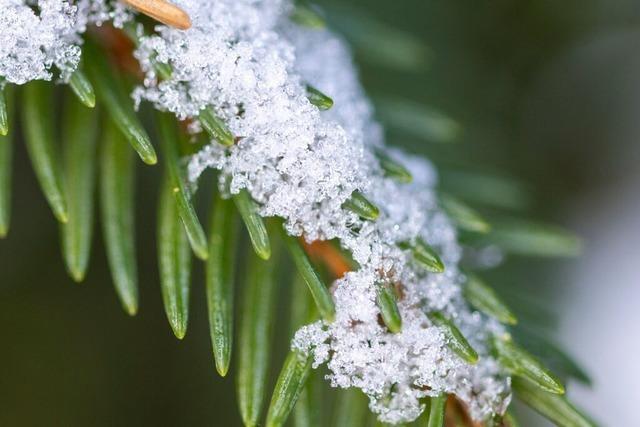 Im Hochschwarzwald werden bis zu 20 Zentimeter Neuschnee erwartet