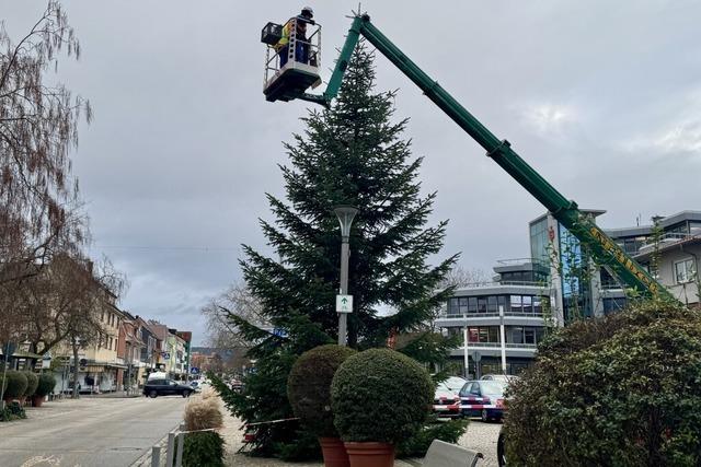 Weil am Rhein stellt Weihnachtsbume auf Lindenplatz und Sparkassenplatz auf