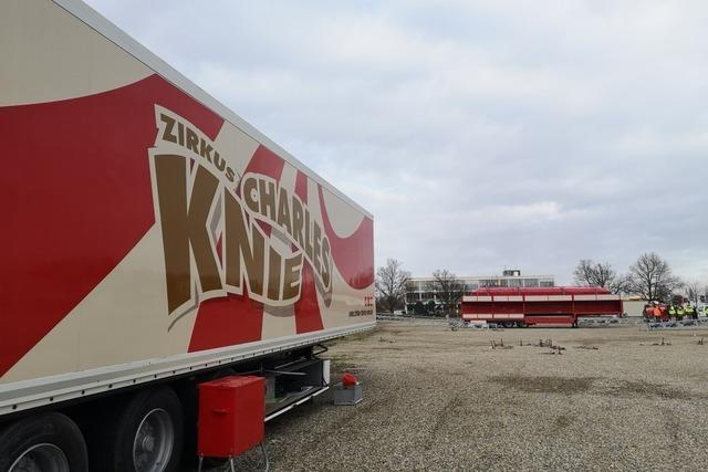 Der Vorverkauf fr den Offenburger Weihnachtscircus findet diese Woche mit Rabatt statt