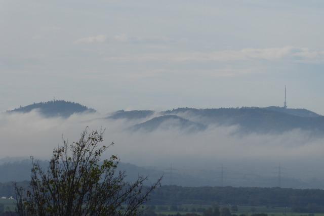 Zertifizierte Wege sollen den 