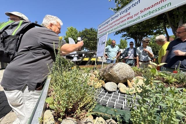 Klimaschtzer Werner Dyka: "In zwlf Monaten Trinkbrunnen und Wasserbnke erstellen"