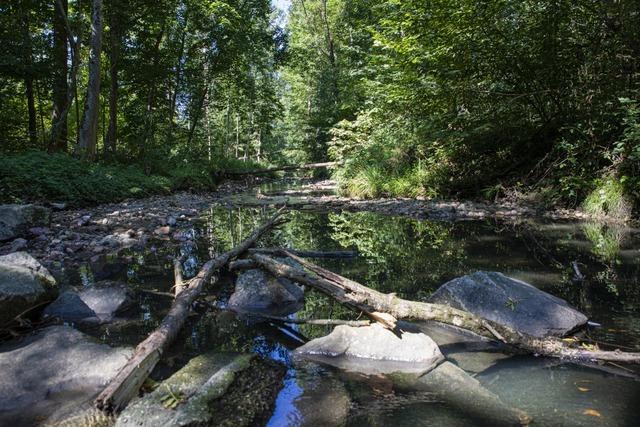 Gundelfingen baut zweites Regenberlaufbecken im Thormattenweg