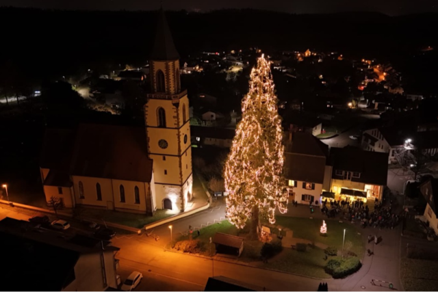 Deutschlands wohl grter Christbaum in Rheinfelden-Eichsel leuchtet wieder