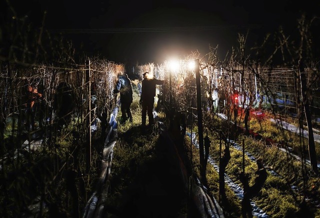   | Foto: Philipp von Ditfurth (dpa)